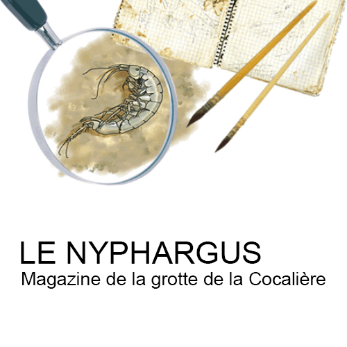 Le Nyphargus